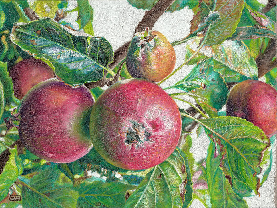 Ontdek de figuratieve schilderijen die u bij galerie Wildevuur kunt kopen