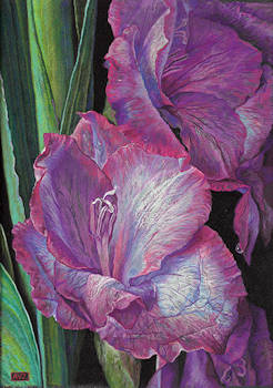 Gladioli von Adriana van Zoest | stillleben Gemälde in pastell auf Pastellkarton 44 x 34 cm