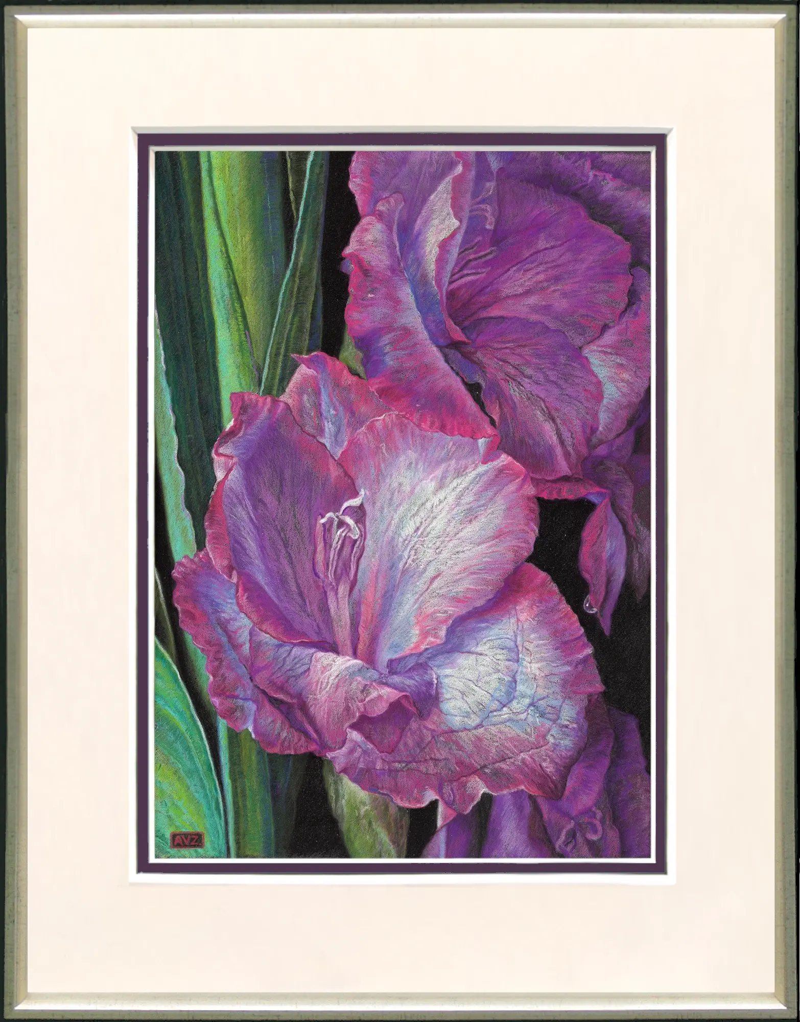 Gladioli