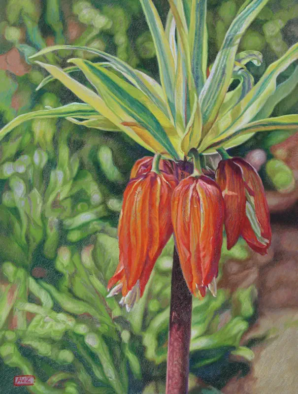 Imperial Crown by Adriana van Zoest | still life painting in pastel on pastelcarton 45 x 35 cm