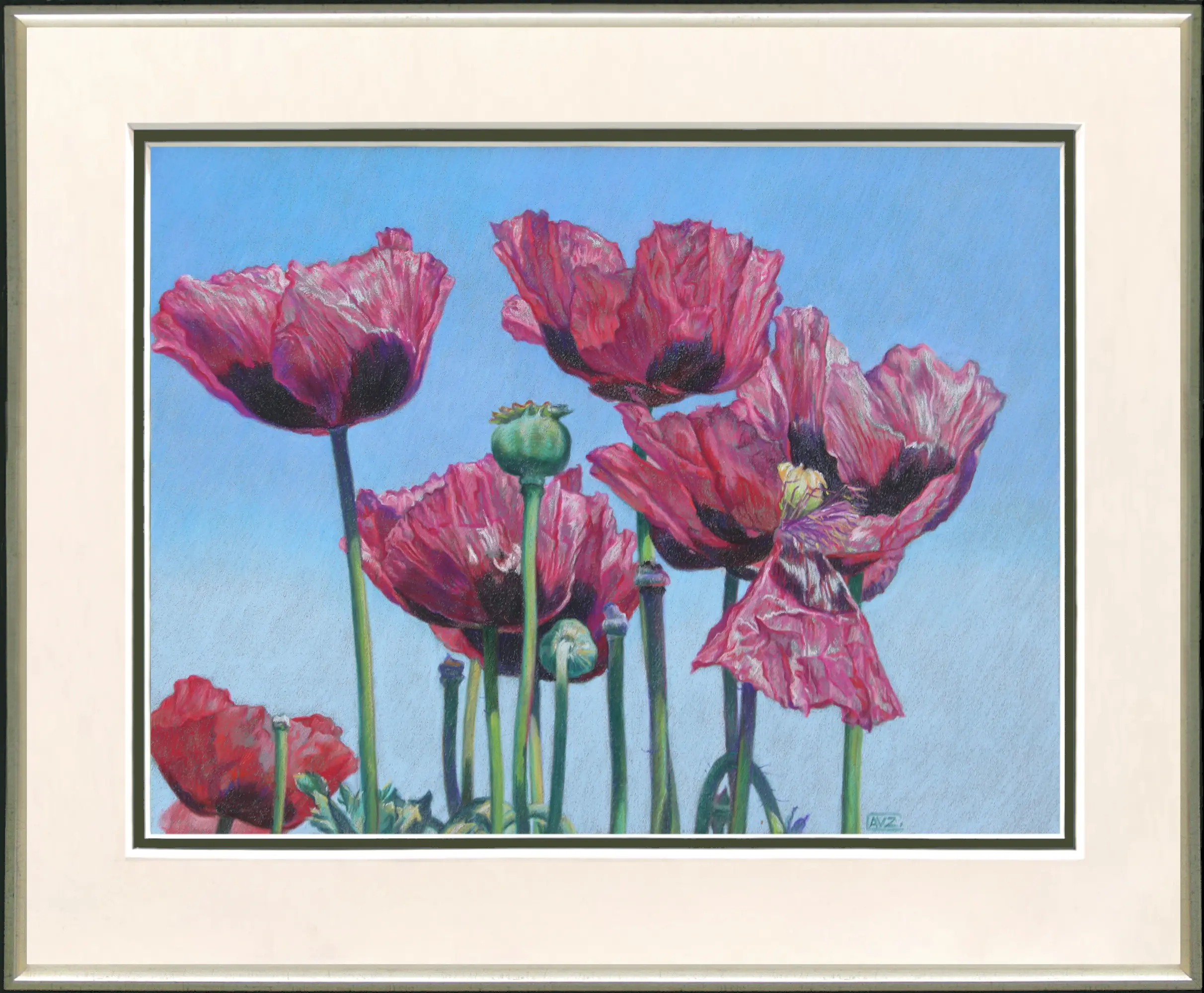 Poppies in the wind
