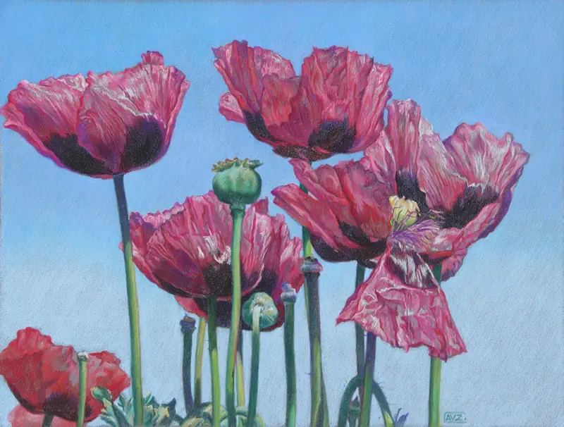 Poppies in the wind by Adriana van Zoest | still life painting in pastel on pastelcarton 35 x 45 cm