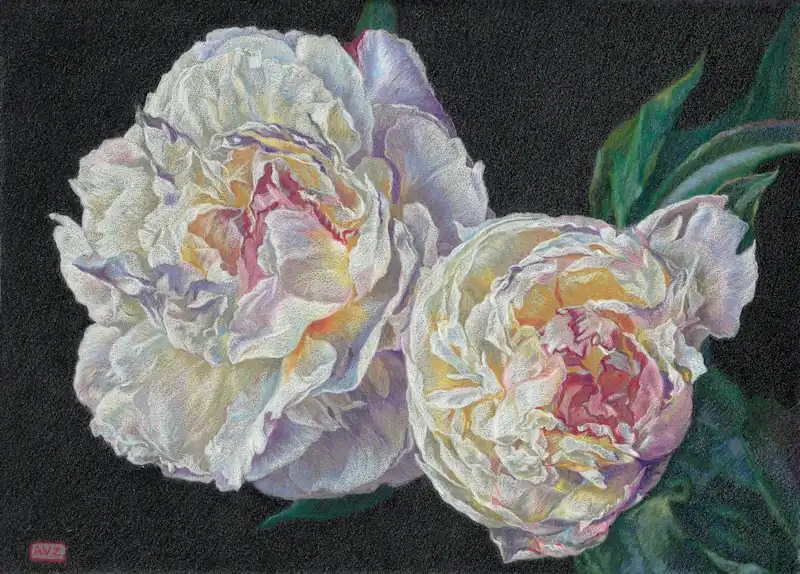Peonies by Adriana van Zoest | still life painting in pastel on pastelcarton 34 x 44 cm