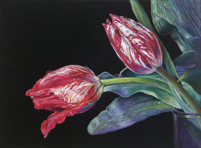 Tulips in glass by Adriana van Zoest | still life painting in pastel on pastelcarton 35 x 45 cm