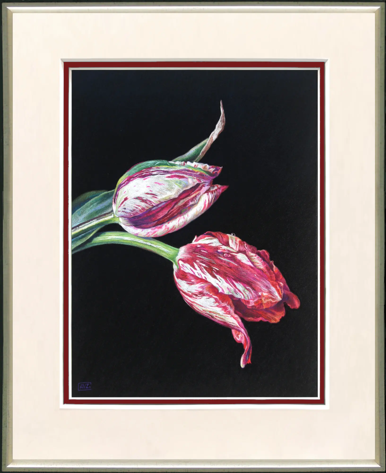Twee tulpen