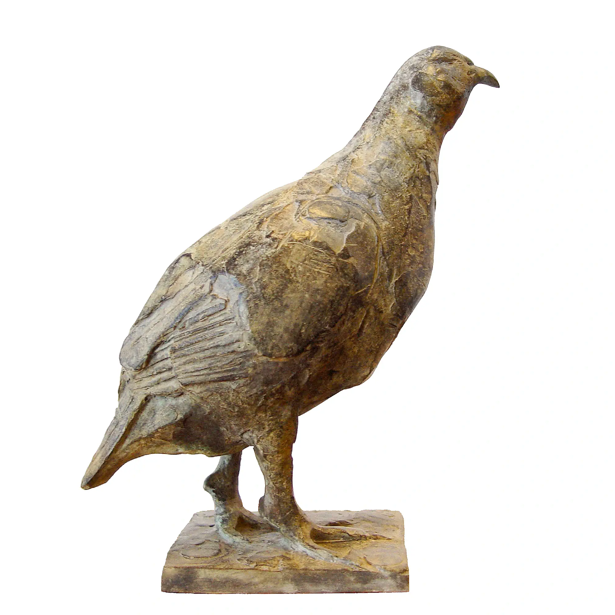Partridge