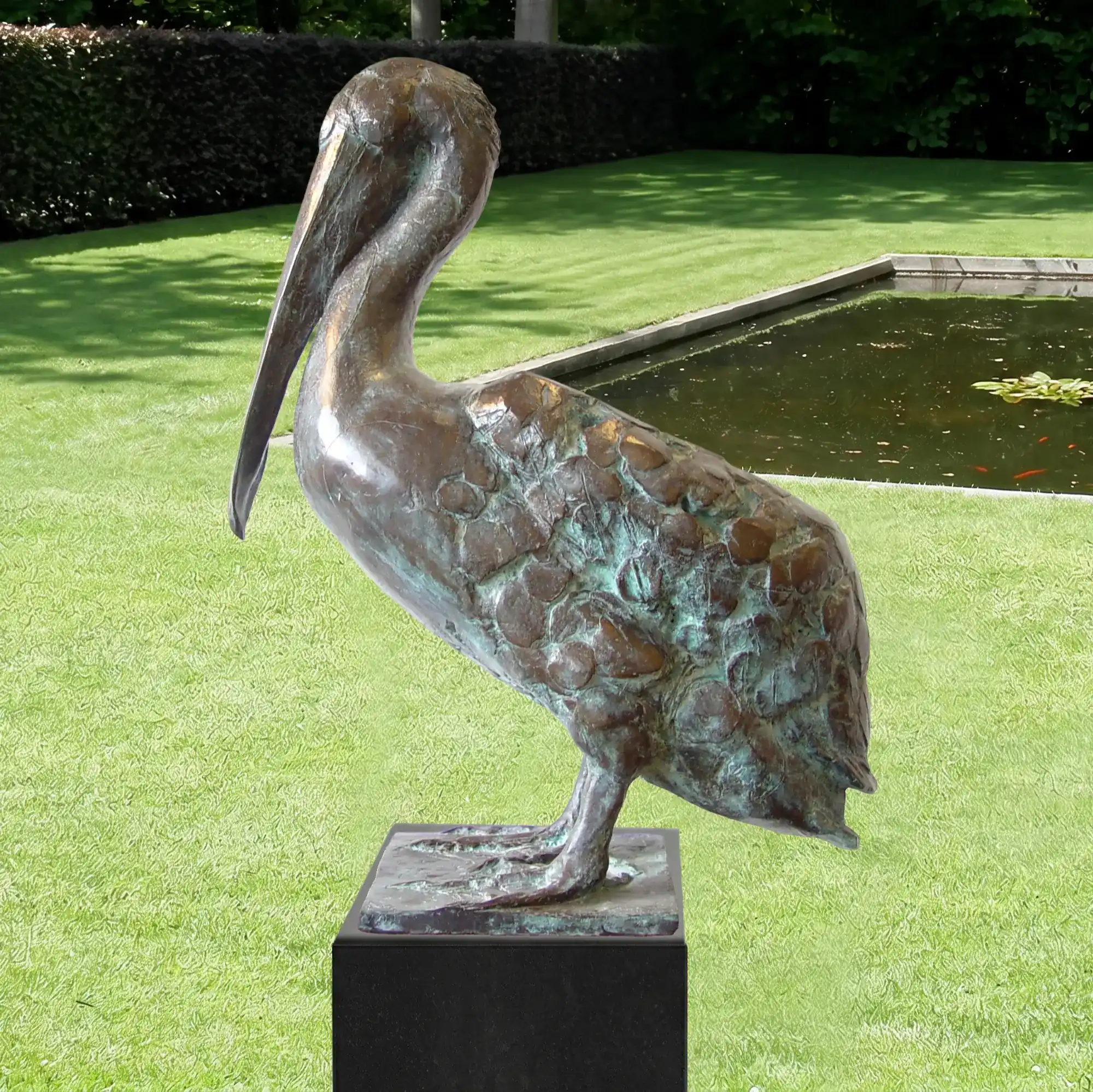 Pelikan