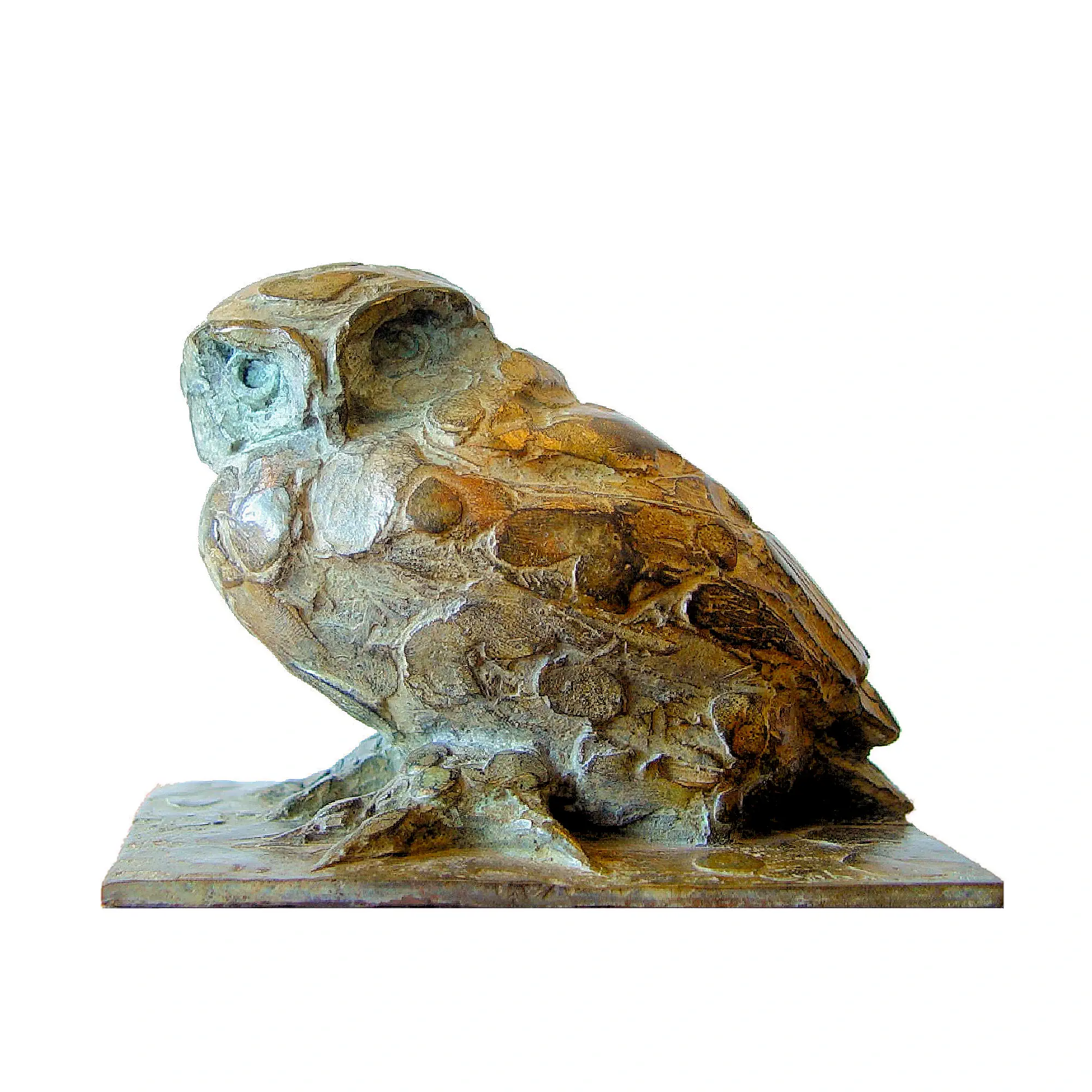Little Owl sitting
