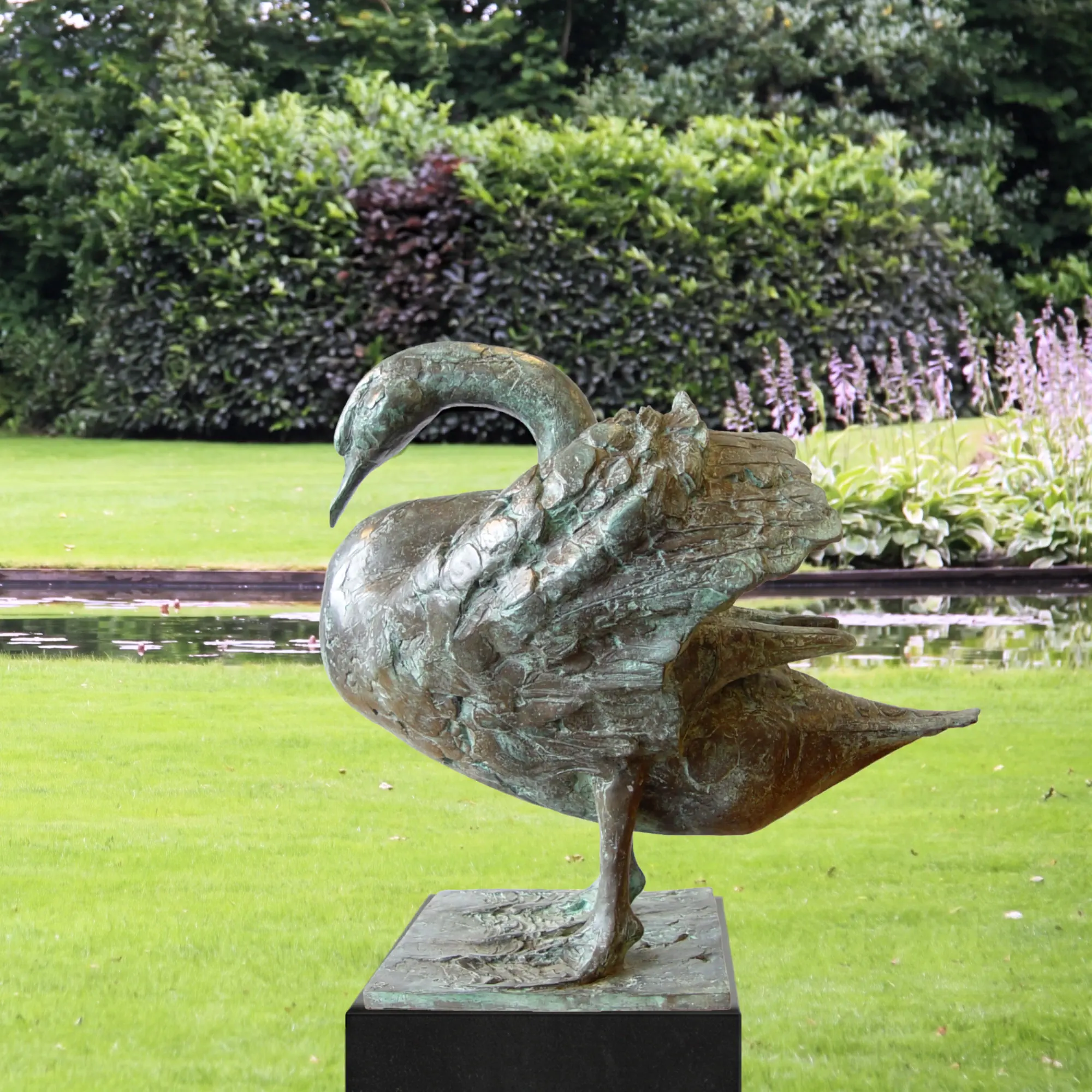 Swan