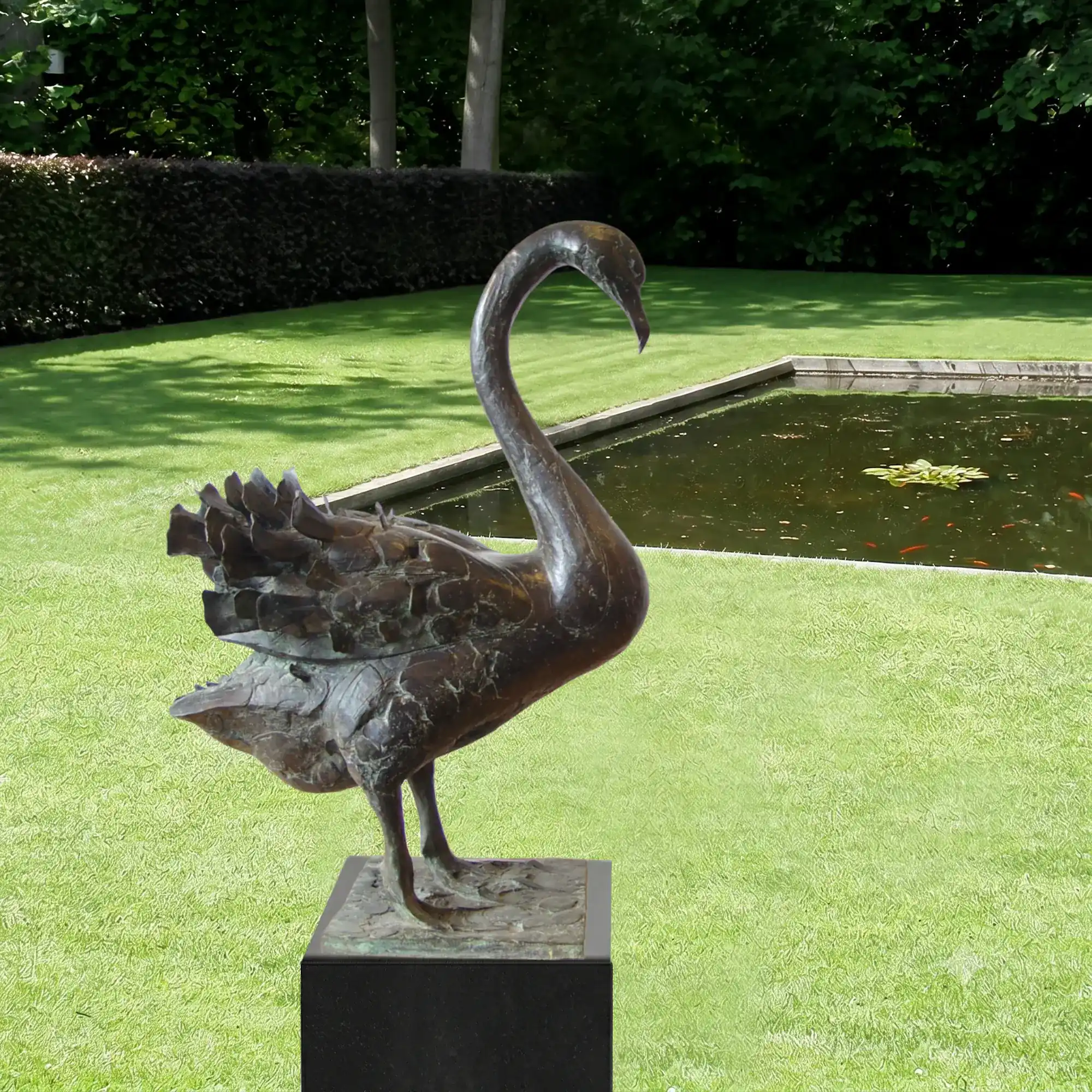 Zwarte zwaan