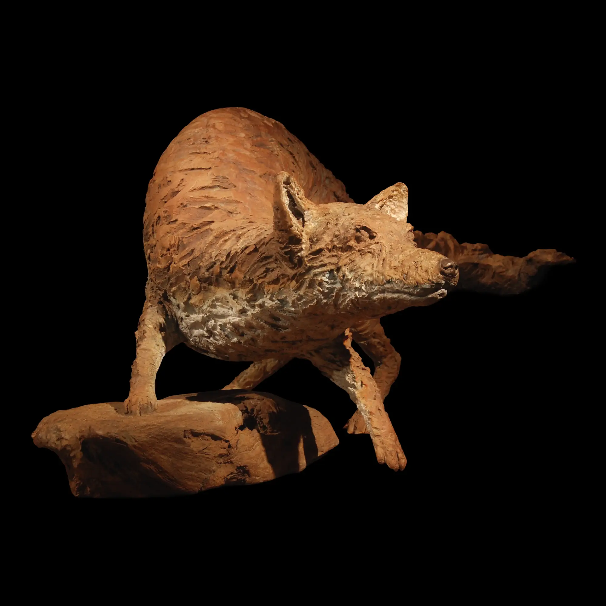 Fox Reynard