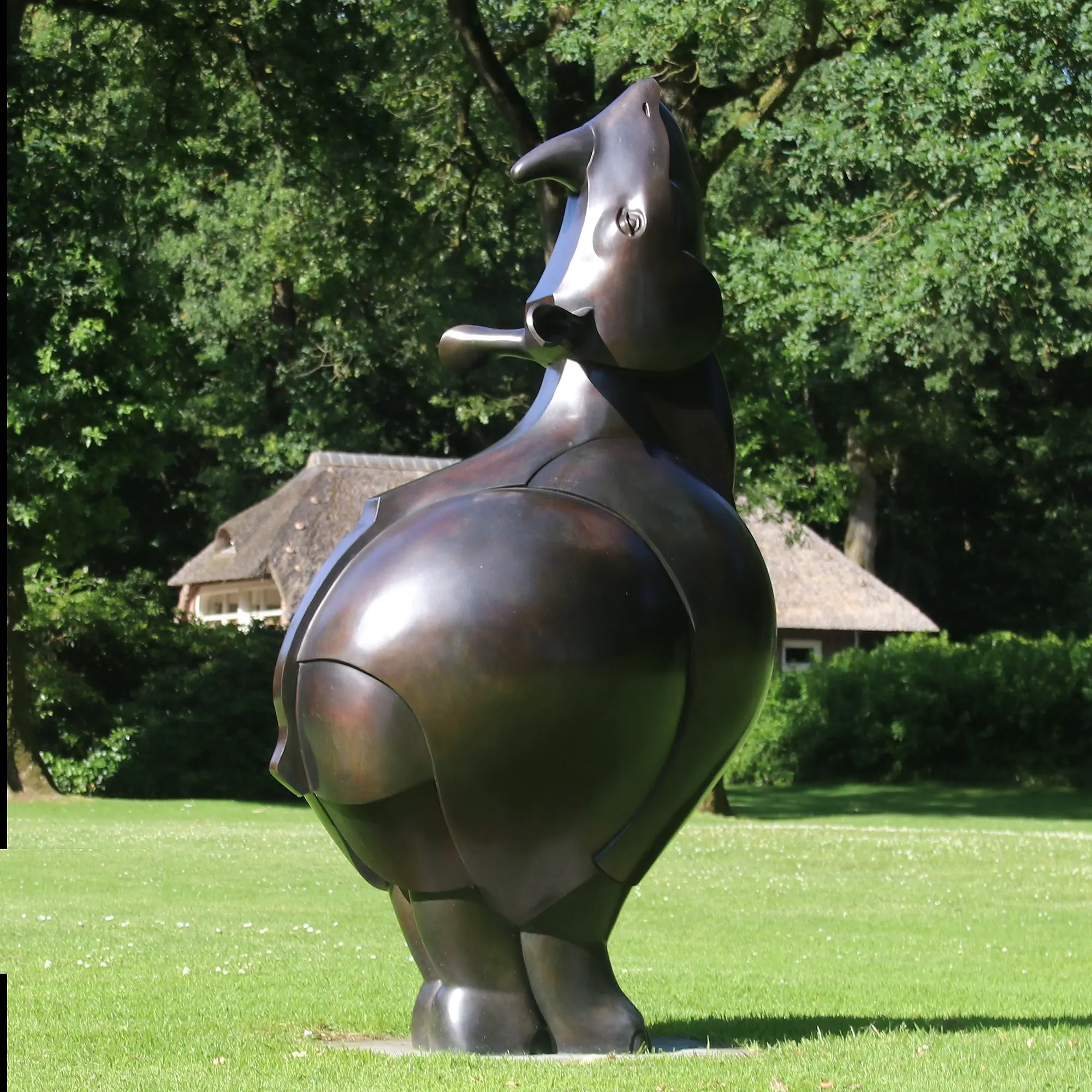 Big Dora xl