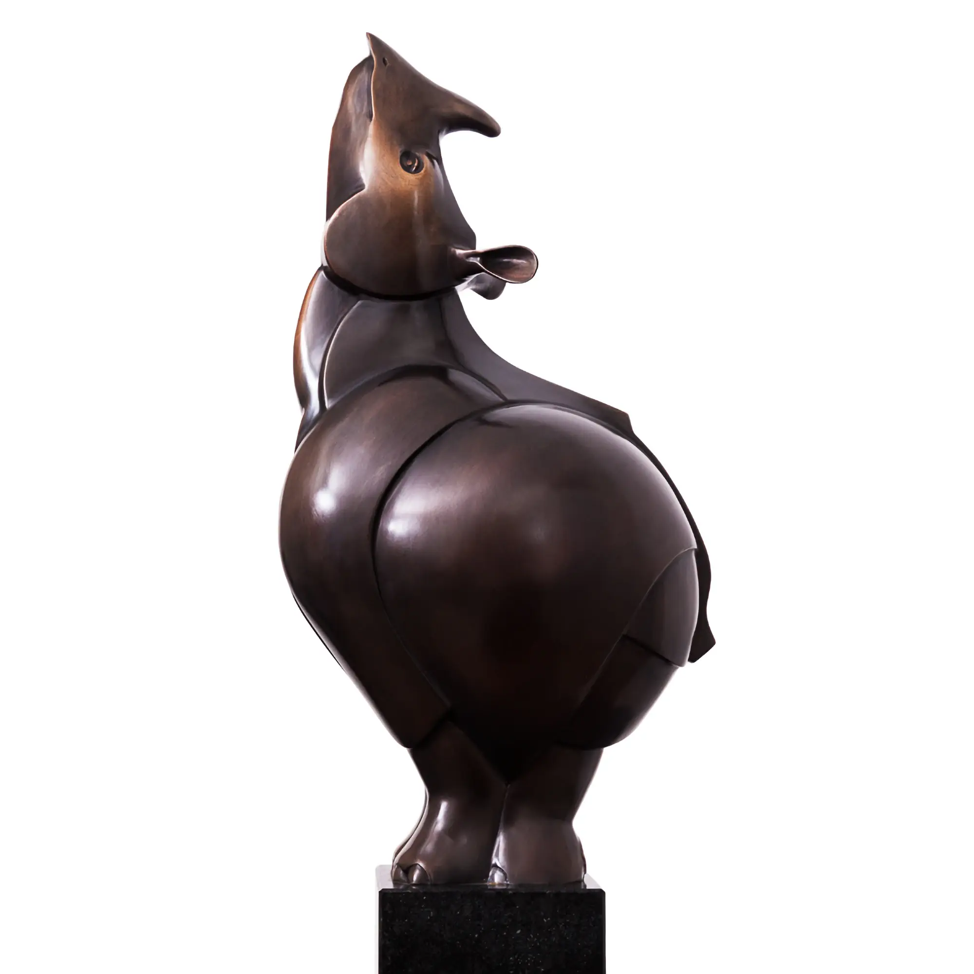 Neushoorn