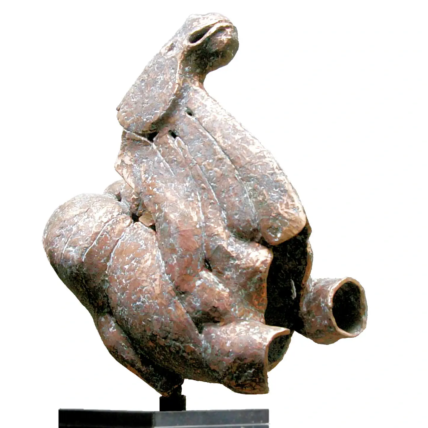 Steigerend paard