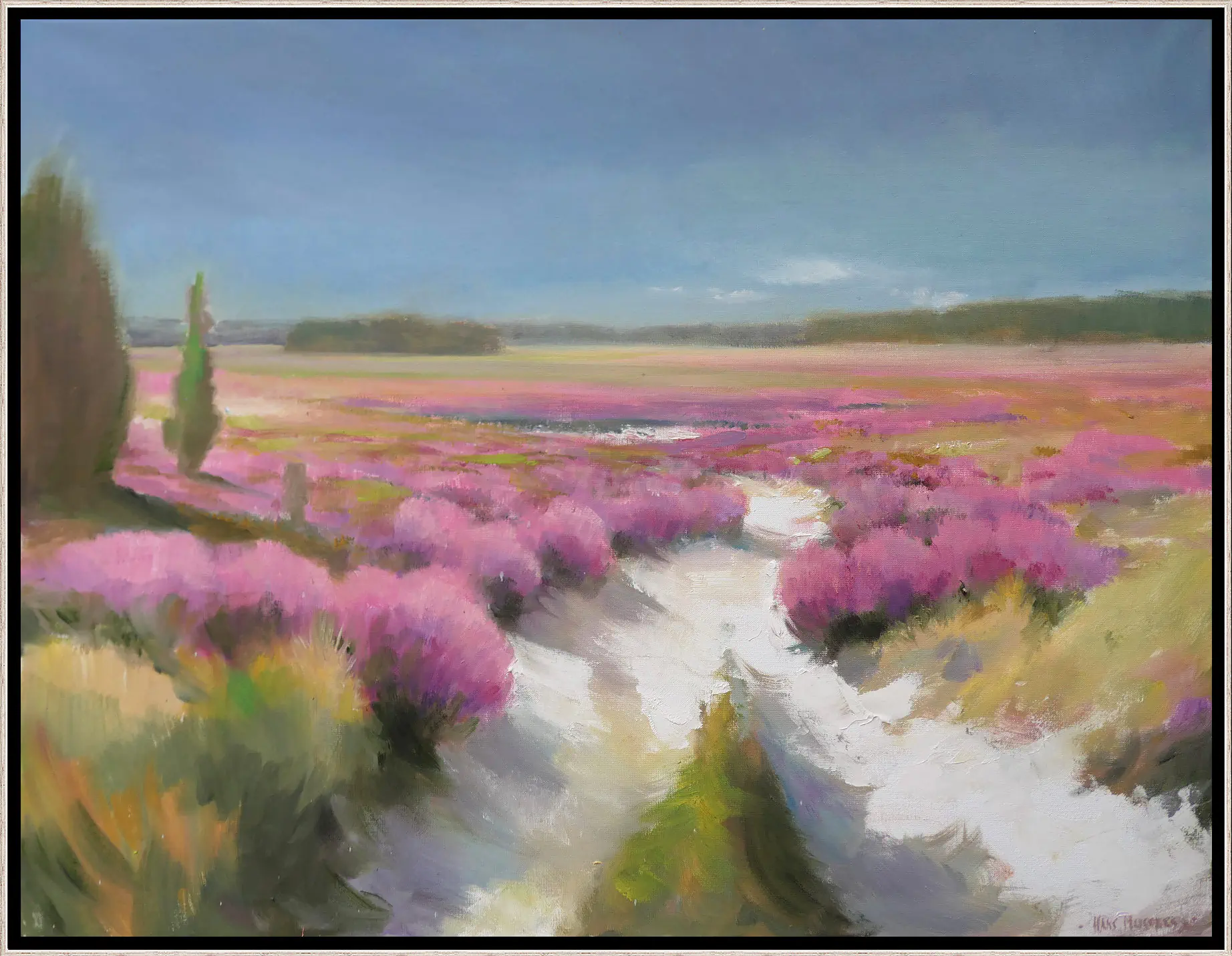 Sand path in the moorland