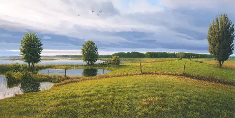 Ruimte voor water van Hans Parlevliet | landschap schilderij in olieverf op paneel 48 x 83 cm