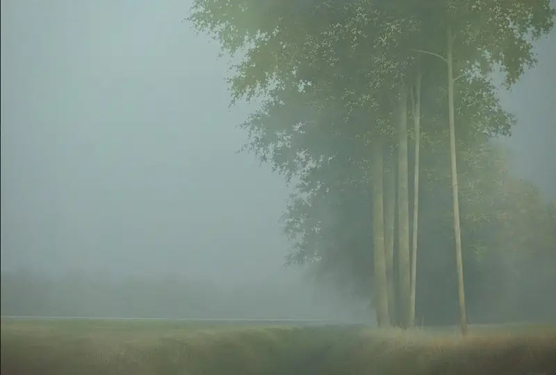 Nebel von Johan Abeling | landschaft Gemälde in acryl auf Holz 66 x 95 cm