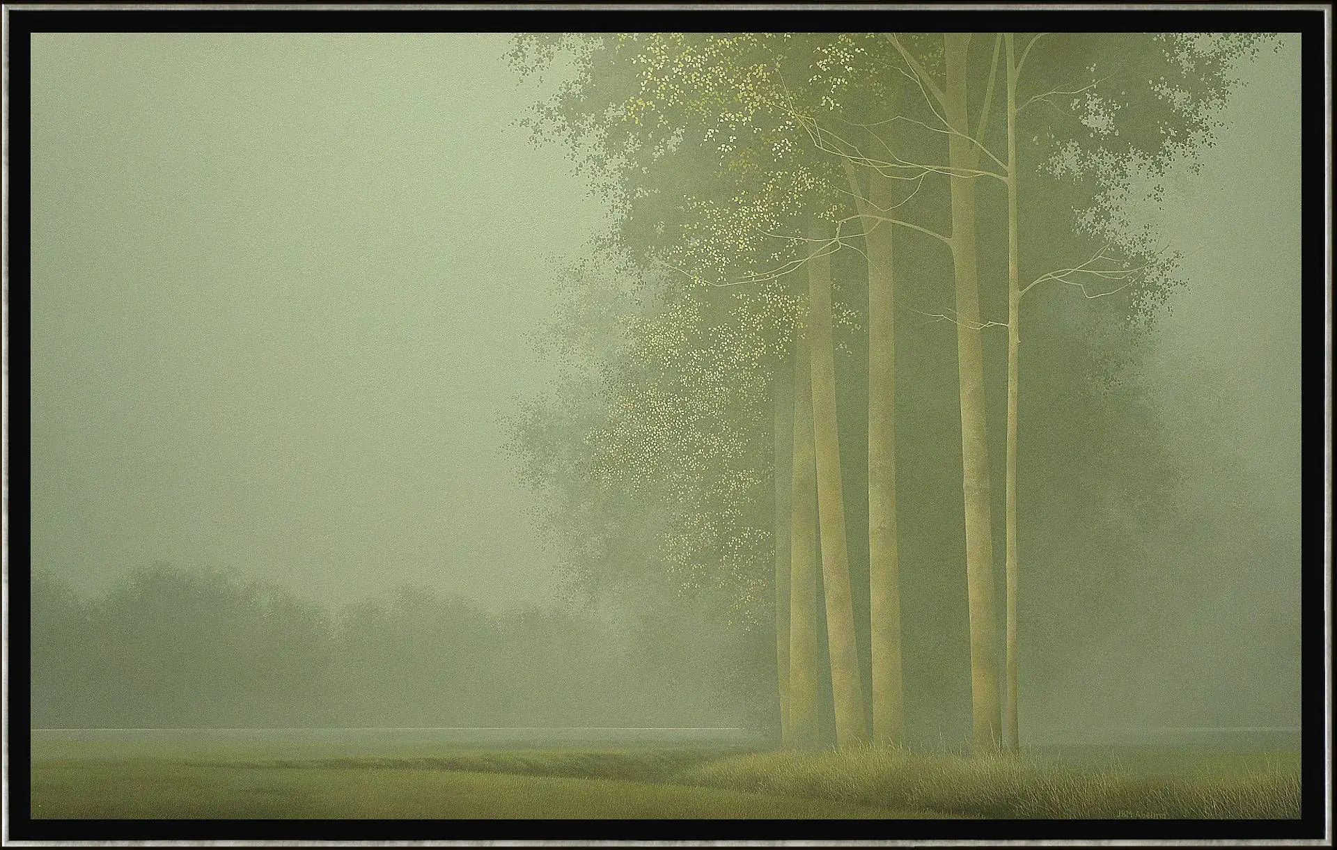 Morning fog