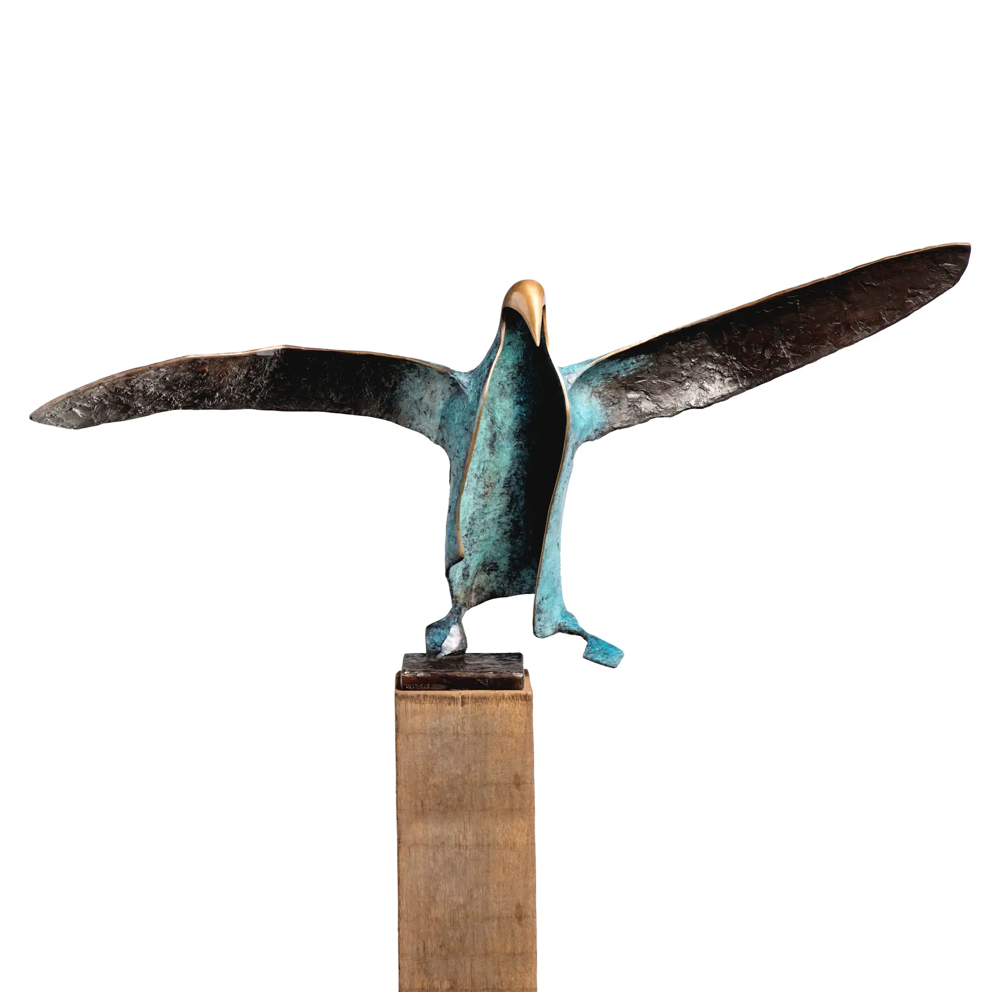 Albatross odyssee 1: The journey begins
