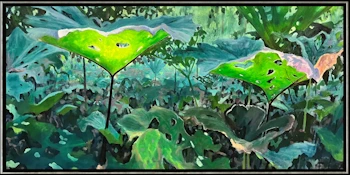 Hoefbladwereld IV van Marjet Visscher | landschap schilderij in olieverf op doek 65 x 125 cm