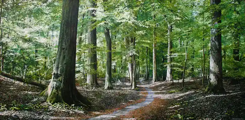 Expectant Beginning by Wout Wachtmeester | landscape painting in acrylic on canvas 55 x 105 cm